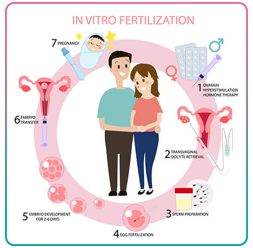 IVF (In Vitro Fertilization) - Specialist Gynaecology Treatment at First Care Clinic
